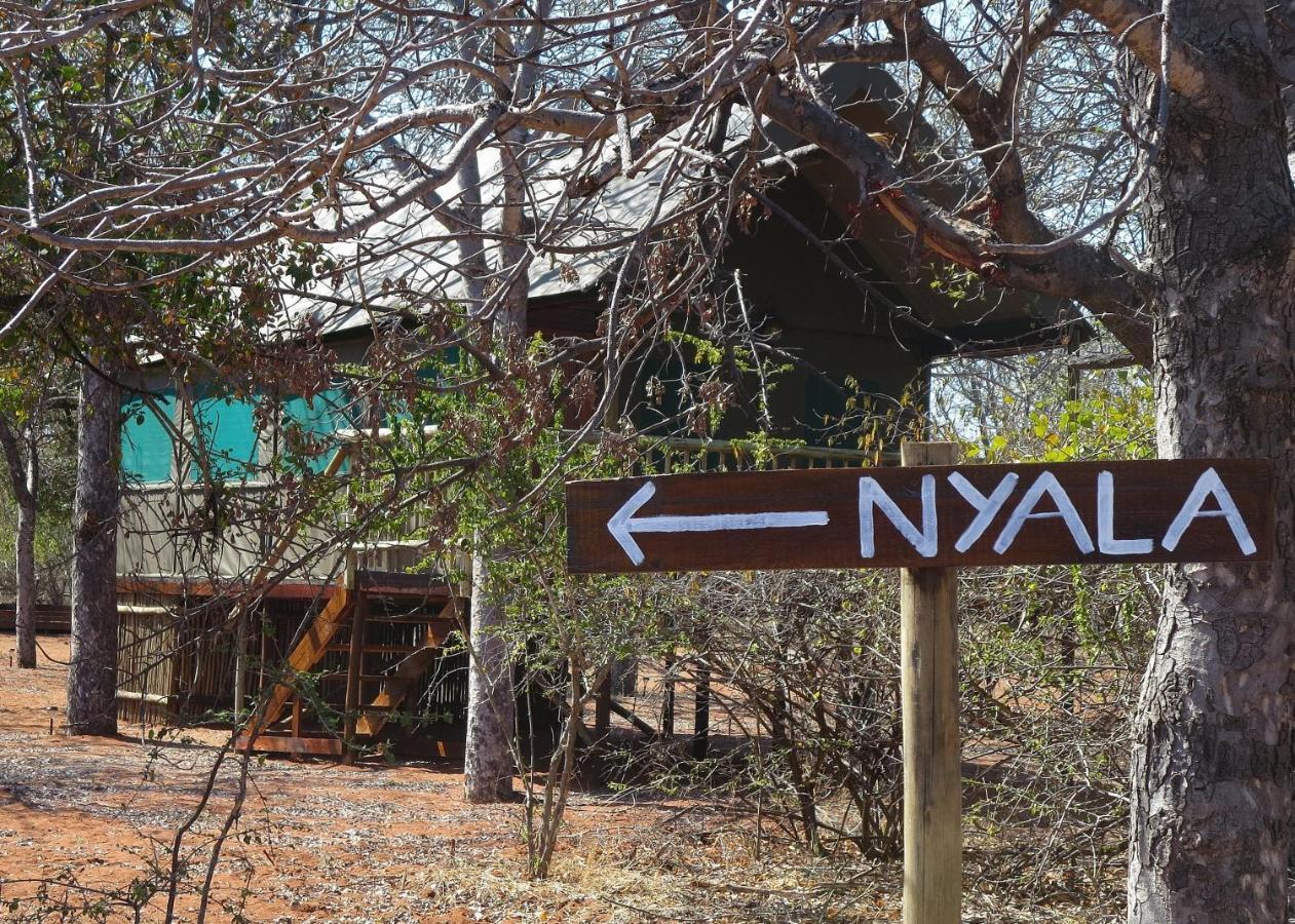 Iphofolo Lodge & Tented Camp Vivo Exterior foto